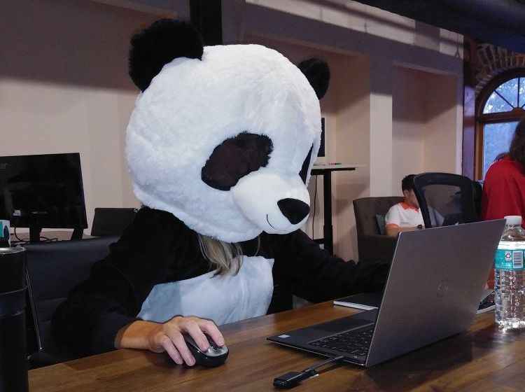 В офисе PandaDoc во Флориде, Хеллоуин 2019 года.