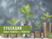 Вырастут субсидии от государства на организацию своего дела почти на 10 тысяч рублей Вырастут субсидии от государства на организацию своего дела почти на 10 тысяч рублей