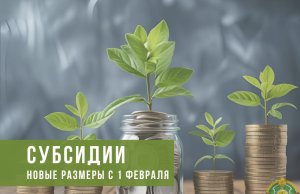 Вырастут субсидии от государства на организацию своего дела почти на 10 тысяч рублей Вырастут субсидии от государства на организацию своего дела почти на 10 тысяч рублей