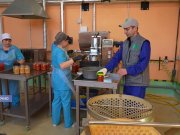 В Беларуси запускают производство аквафабы. Что это такое В Беларуси запускают производство аквафабы. Что это такое