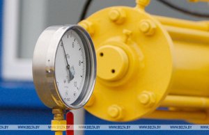 МАРТ установил цены на природный газ для некоторых организаций МАРТ установил цены на природный газ для некоторых организаций