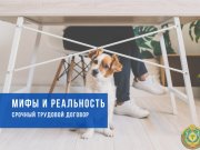 Шпаргалка по срочным трудовым договорам: сроки, оплата труда, подводные камни Шпаргалка по срочным трудовым договорам: сроки, оплата труда, подводные камни