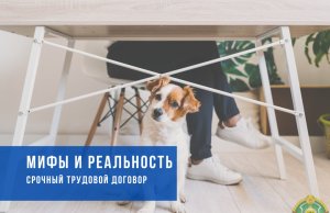 Шпаргалка по срочным трудовым договорам: сроки, оплата труда, подводные камни Шпаргалка по срочным трудовым договорам: сроки, оплата труда, подводные камни