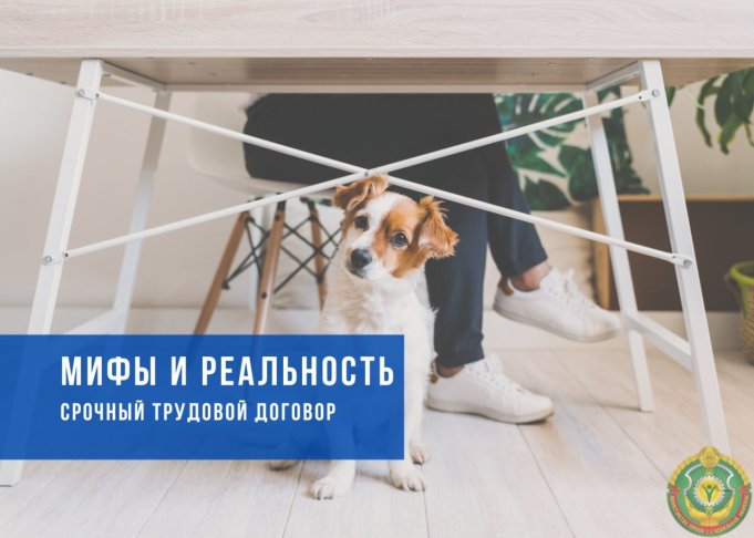 Шпаргалка по срочным трудовым договорам: сроки, оплата труда, подводные камни