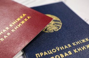 Директор могилёвской компании организовал фиктивное трудоустройство выпускников колледжа: возбуждено уголовное дело Директор могилёвской компании организовал фиктивное трудоустройство выпускников колледжа: возбуждено уголовное дело