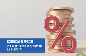 Если не заплатить взносы в ФСЗН: что важно знать? Если не заплатить взносы в ФСЗН: что важно знать?