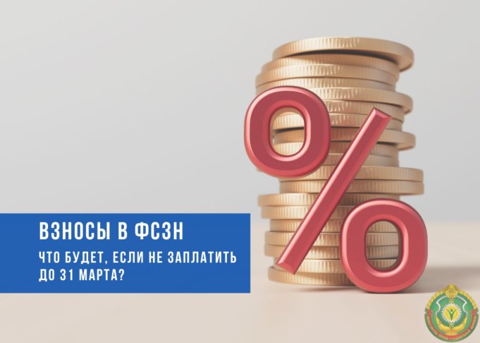 Если не заплатить взносы в ФСЗН: что важно знать?