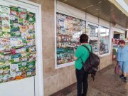 Белстат подсчитал: сколько ИП осталось в Беларуси и чем они занимаются Белстат подсчитал: сколько ИП осталось в Беларуси и чем они занимаются