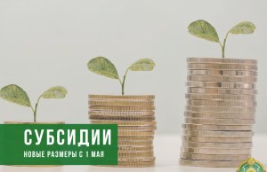 С 1 мая увеличиваются субсидии на открытие бизнеса: новые размеры и условия поддержки С 1 мая увеличиваются субсидии на открытие бизнеса: новые размеры и условия поддержки