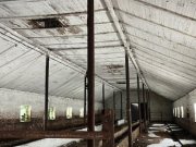 На торги! В Минском районе продают телятник с бетонной площадкой за 711 тысяч рублей На торги! В Минском районе продают телятник с бетонной площадкой за 711 тысяч рублей