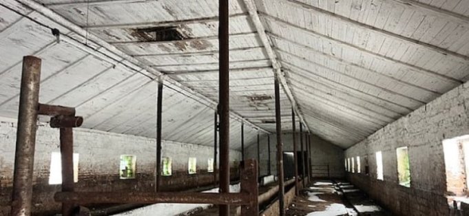 На торги! В Минском районе продают телятник с бетонной площадкой за 711 тысяч рублей