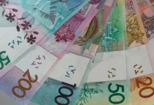 В Беларуси увеличат субсидии на открытие собственного дела